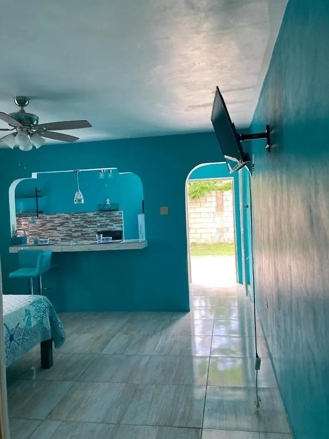 Yanceylargo Estate - Newly Built Modern 1 Bedroom Suite Villa Montego Bay