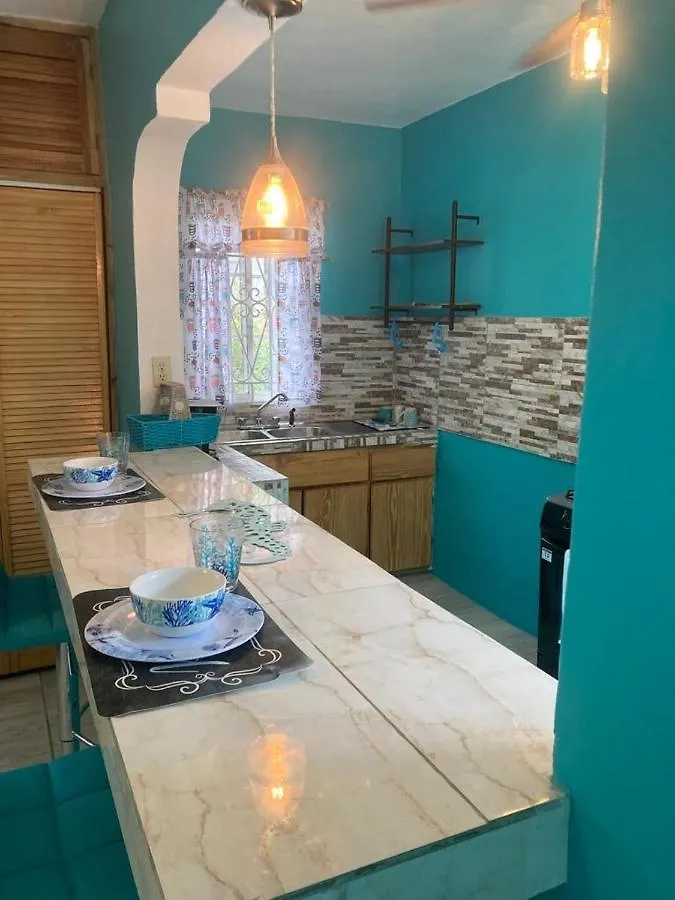 Yanceylargo Estate - Newly Built Modern 1 Bedroom Suite Villa Montego Bay