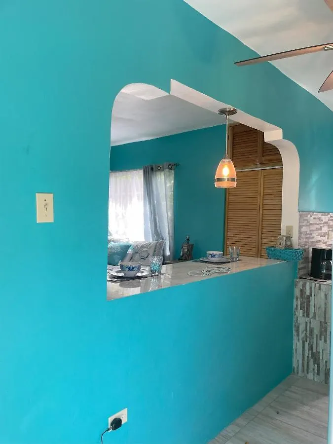 Yanceylargo Estate - Newly Built Modern 1 Bedroom Suite Villa مونتيغو باي 0*,