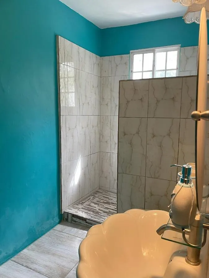 Yanceylargo Estate - Newly Built Modern 1 Bedroom Suite Villa مونتيغو باي