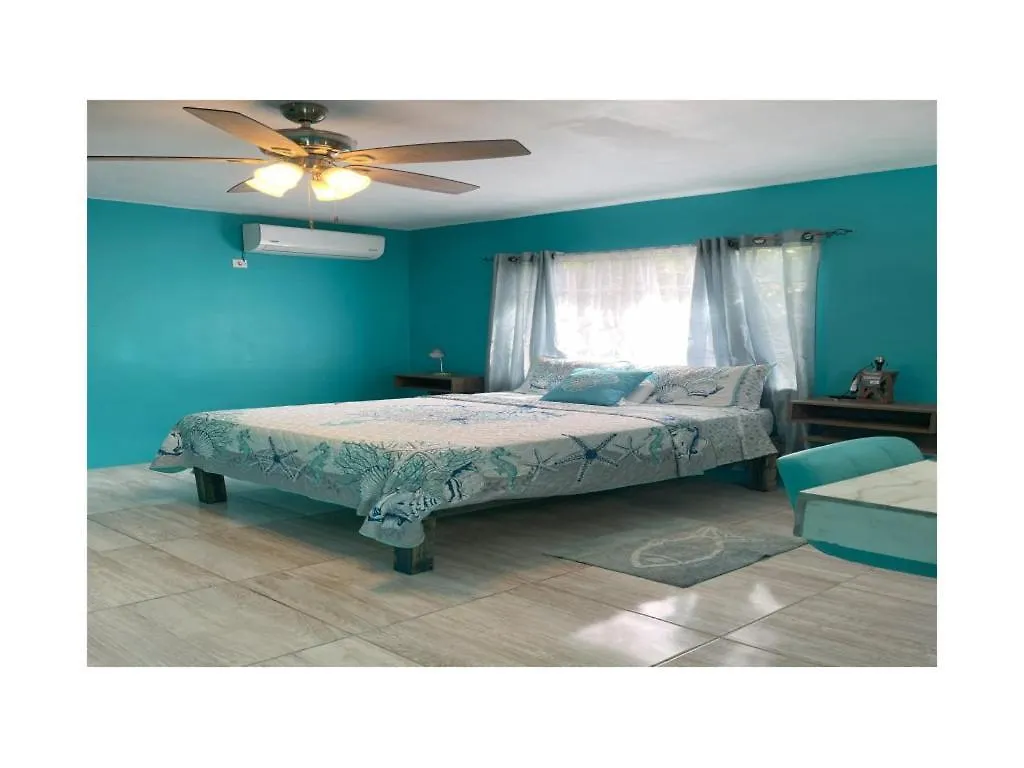 Yanceylargo Estate - Newly Built Modern 1 Bedroom Suite Villa Montego Bay