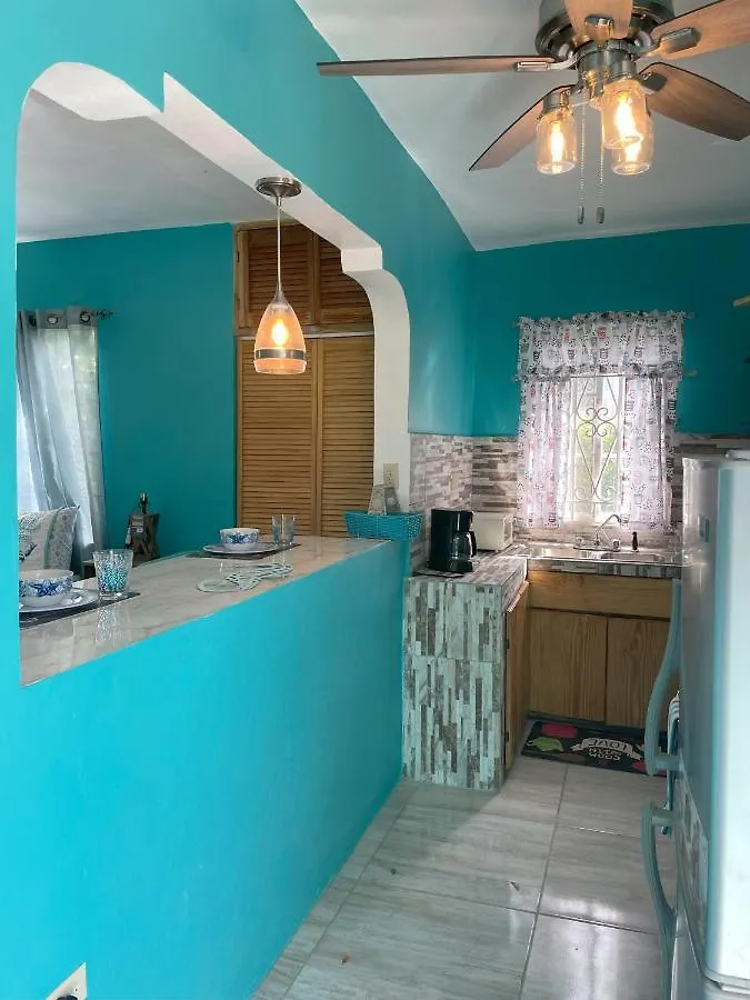 Yanceylargo Estate - Newly Built Modern 1 Bedroom Suite Villa モンテゴ・ベイ ジャマイカ